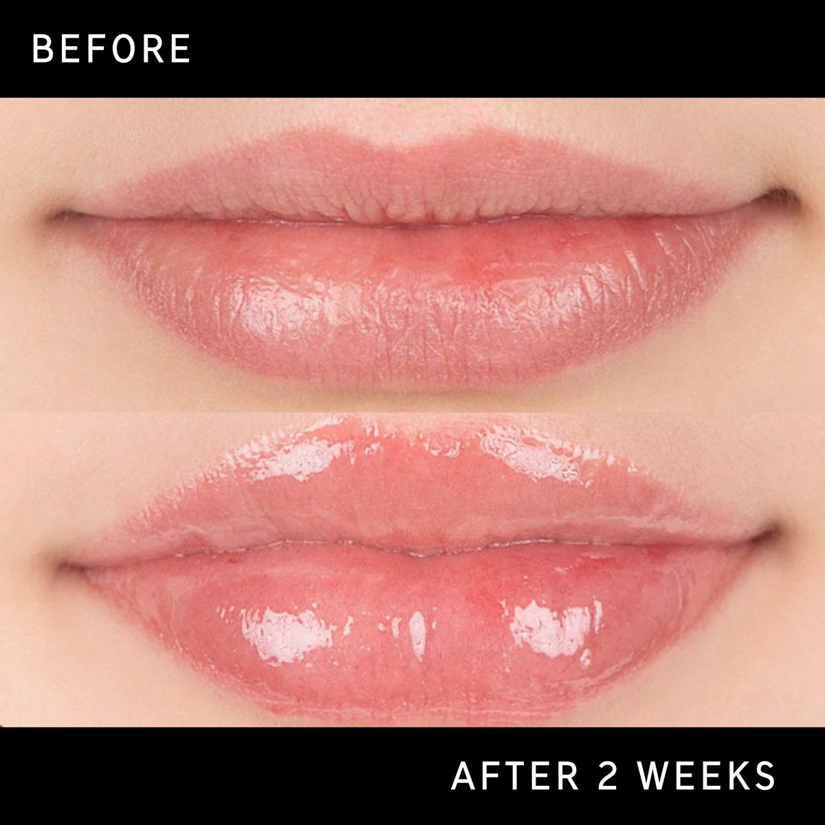 tripeptide-plumping-lip-balm-n5 DTC-Top15_Amends_Tripeptide-Lip_B_A.jpg